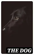 E-Book (epub) The Dog von Edward Mayhew, Dinks, W. N. Hutchinson