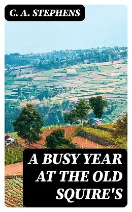 E-Book (epub) A Busy Year at the Old Squire's von C. A. Stephens
