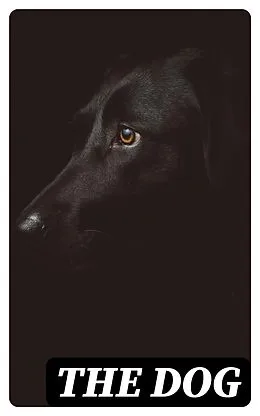 E-Book (epub) The Dog von Edward Mayhew, Dinks, W. N. Hutchinson
