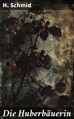 E-Book (epub) Die Huberbäuerin von H. Schmid