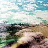 The World Is A Beautiful Place CD Always Foreign