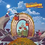 Remo Drive LP (analog) Natural, Everyday Degradation