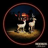 Menzingers,The Vinyl Hello Exile