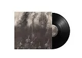 Moor Mother LP (analog) The Great Bailout