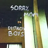 Destroy Boy LP (analog) Sorry,Mom