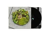 Son Little Vinyl Cityfolk