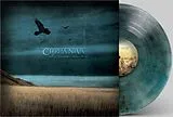 Cirrha Niva LP (analog) For Moments Never Done