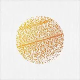 Gathering,The Vinyl Beautiful Distortion (yellow And Orange Vinyl)