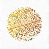 Gathering,The Vinyl Beautiful Distortion