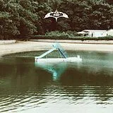 The Bird Experience CD The Bird Experience