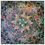 Like Elephants LP (analog) Kaleidoscope