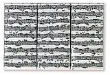  Instrumente+Zubehör Papiertaschentücher Noten Bach (10 Stück)