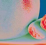 Citrus Citrus LP (analog) Albedo Massima