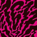 16-17 LP (analog) Phantom Limb
