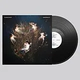 Floodlights LP (analog) Underneath