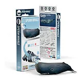 EUGY 3D Bastelset Pottwal Spiel