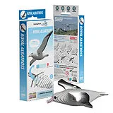 EUGY 3D Bastelset Royal Albatross Spiel
