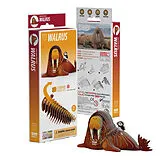 EUGY 3D Bastelset Walross Spiel