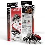 EUGY - 3D Bastelset Goliathkäfer Spiel