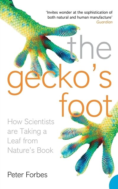 The Geckos Foot