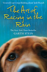 Kartonierter Einband The Art of Racing in the Rain von Garth Stein