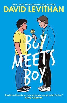 E-Book (epub) Boy Meets Boy von David Levithan