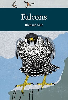 Livre de poche Falcons de Richard Sale