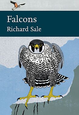eBook (epub) Falcons de Richard Sale