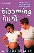 E-Book (epub) Blooming Birth: How to get the pregnancy and birth you want von Lucy Atkins