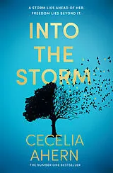 Kartonierter Einband Into the Storm von Cecelia Ahern