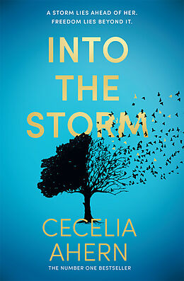 Kartonierter Einband Into the storm von Cecelia Ahern