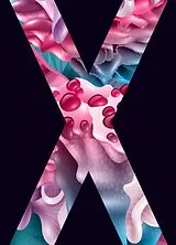 Fester Einband Area X: The Southern Reach Trilogy von VanderMeer Jeff