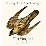 Audio CD (CD/SACD) The Peregrine von J A Baker