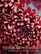 Fester Einband Chrysanthemums von Naomi Slade, Georgianna Lane