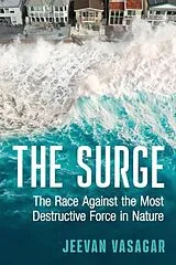 Broschiert The Surge von Jeevan Vasagar