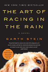 Kartonierter Einband The Art of Racing in the Rain von Garth Stein