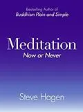 E-Book (epub) Meditation Now or Never von Steve Hagen