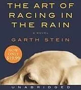 Audio The Art of Racing in the Rain von Garth Stein