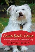 E-Book (epub) Come Back, Como von Steven Winn