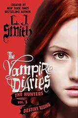 Taschenbuch The Vampire Diaries Volume 10 von L. J. Smith