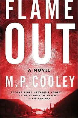 E-Book (epub) Flame Out von M. P. Cooley