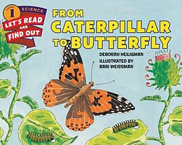 Kartonierter Einband From Caterpillar to Butterfly von Deborah Heiligman