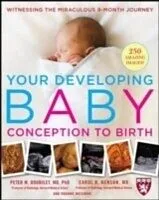 E-Book (pdf) Your Developing Baby, Conception to Birth von Peter M. Doubilet, Carol B. Benson, Roanne Weisman