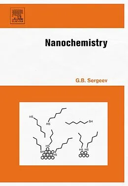 E-Book (pdf) Nanochemistry von Kenneth J. Klabunde, Gleb B. Sergeev
