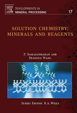 E-Book (pdf) Solution Chemistry von P. Somasundaran, Dianzuo Wang