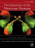 E-Book (pdf) Development of the Nervous System von Dan H. Sanes, Thomas A. Reh, William A. Harris