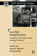 E-Book (pdf) Gas Well Deliquification von James F. Lea Jr., Henry V. Nickens, Md Wells BSc(Hons)