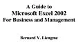 E-Book (pdf) Guide to Microsoft Excel 2002 for Business and Management von Bernard Liengme