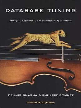 E-Book (pdf) Database Tuning von Dennis Shasha, Philippe Bonnet