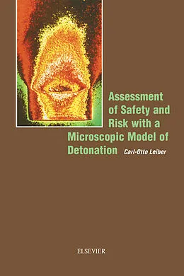 E-Book (epub) Assessment of Safety and Risk with a Microscopic Model of Detonation von C. -O. Leiber